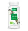 MĘCZENNICA CIELISTA (PASSIFLORA) BIO (125 mg) 120 KAPSUŁEK - PURASANA