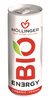 NAPÓJ ENERGETYZUJĄCY O SMAKU JABŁKO - JEŻYNA BIO 250 ml - HOLLINGER