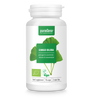 MIŁORZĄB JAPOŃSKI (GINKGO BILOBA) BIO (250 mg) 70 KAPSUŁEK - PURASANA