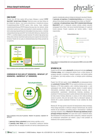 ŻELAZO + WITAMINA B12 FORTE 45 TABLETEK - PHYSALIS